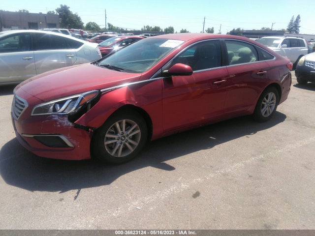 Hyundai Sonata 2.4l 2016 5NPE24AF3GH393628 Image 2