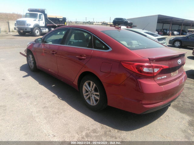 Hyundai Sonata 2.4l 2016 5NPE24AF3GH393628 Image 4