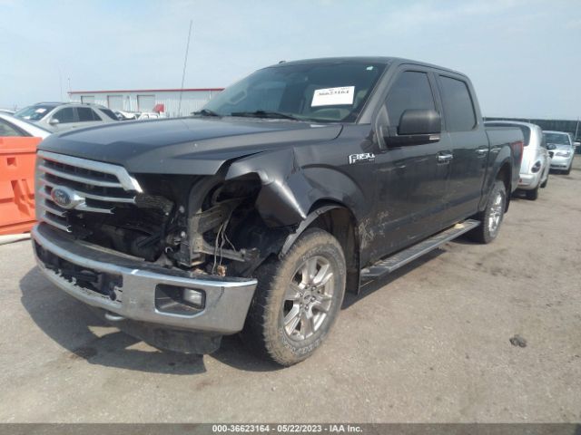 1FTEW1EF7GKF11159 Ford F-150 Xlt/xl/lariat/platinum