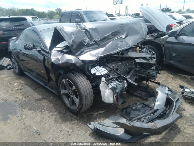 2015 1FA6P8AM0F5318725 main image