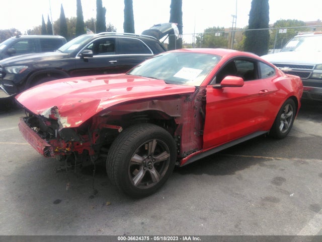 2015 Ford Fastback, VIN: 1FA6P8AM5F5396059