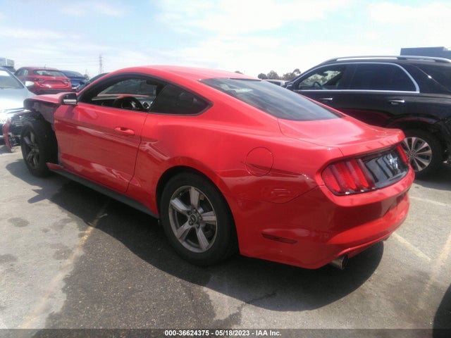 2015 Ford Fastback, VIN: 1FA6P8AM5F5396059
