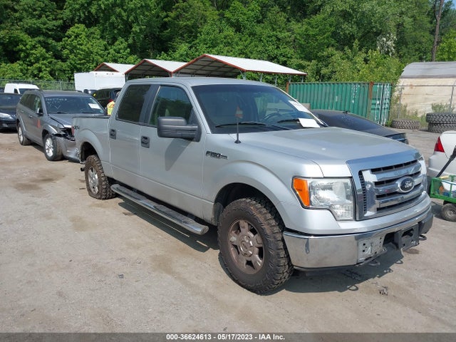 2009 FORD F-150 XL/XLT VIN: 1FTRW14869FA88784