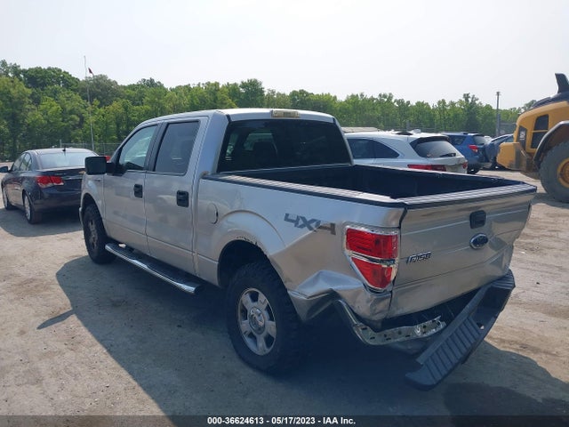 2009 FORD F-150 XL/XLT VIN: 1FTRW14869FA88784