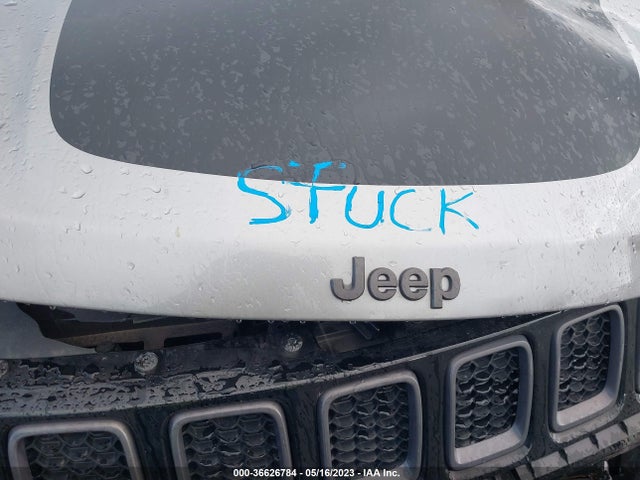 2019 JEEP COMPASS TRAILHAWK VIN: 3C4NJDDB0KT712973