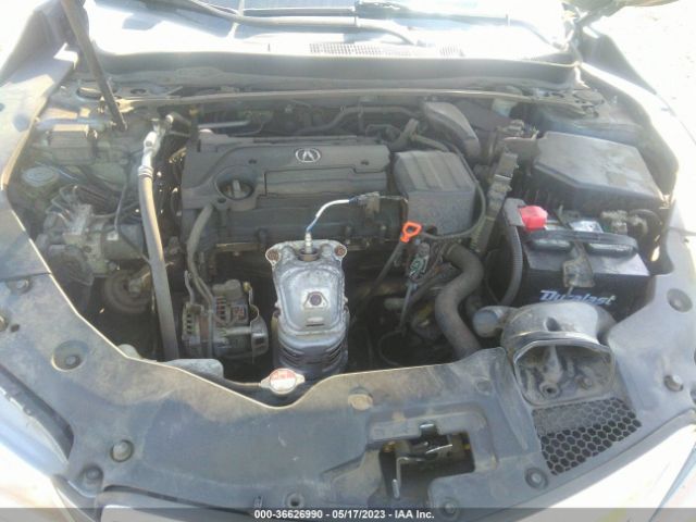 19UUB1F32FA011637 Acura TLX
