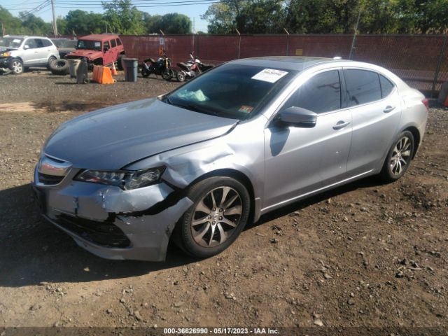 19UUB1F32FA011637 Acura TLX