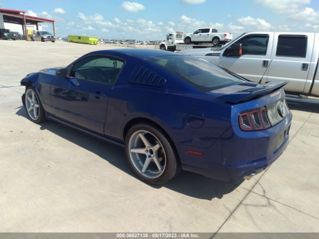 1ZVBP8AM6E5241024 Ford Mustang V6