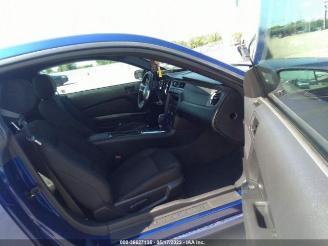 1ZVBP8AM6E5241024 Ford Mustang V6