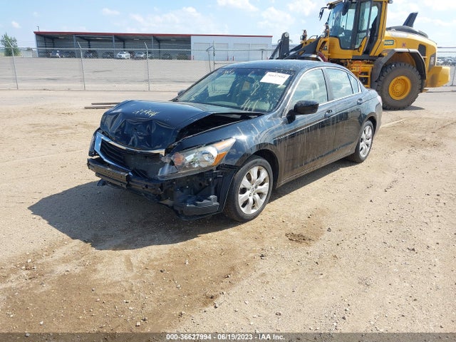 2010 HONDA ACCORD SDN EX VIN: 1HGCP2F70AA005902