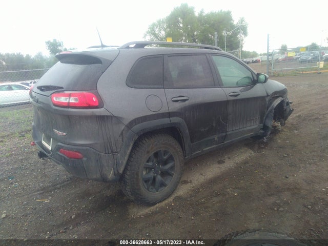 1C4PJMBS1HW646528 Jeep Cherokee Trailhawk