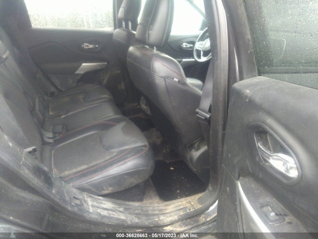 1C4PJMBS1HW646528 Jeep Cherokee Trailhawk