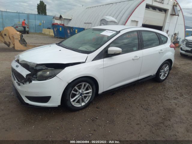 1FADP3K20HL264378 Ford FOCUS SE