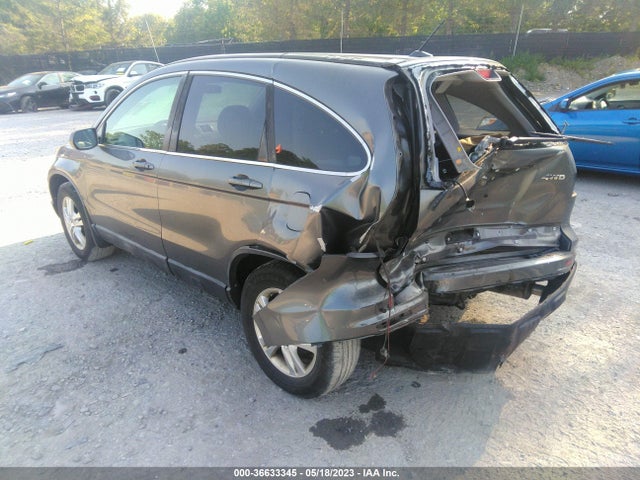 2010 HONDA CR-V EX-L VIN: 5J6RE4H72AL010542