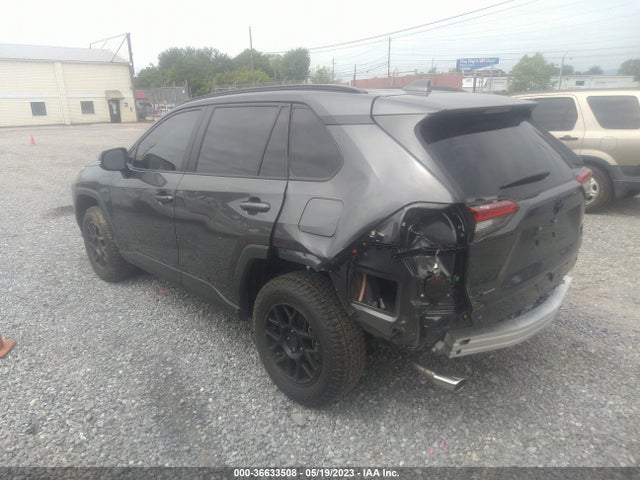 Toyota Rav4 Xle 2023 2T3P1RFV8PW346385 Image 4