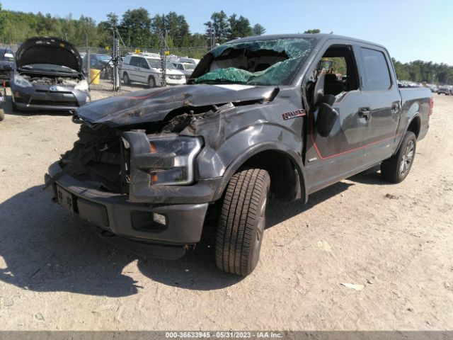 1FTEW1EG1GFD07667 Ford F-150 Xlt/xl/lariat/platinum