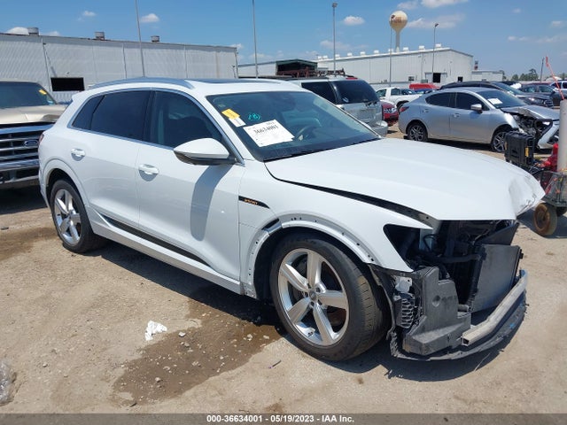 2019 Audi e-tron, VIN: WA1LAAGE3KB023761