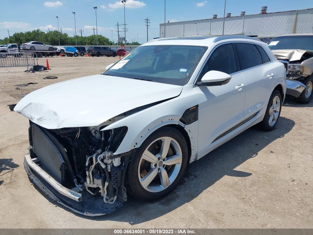 2019 Audi e-tron, VIN: WA1LAAGE3KB023761