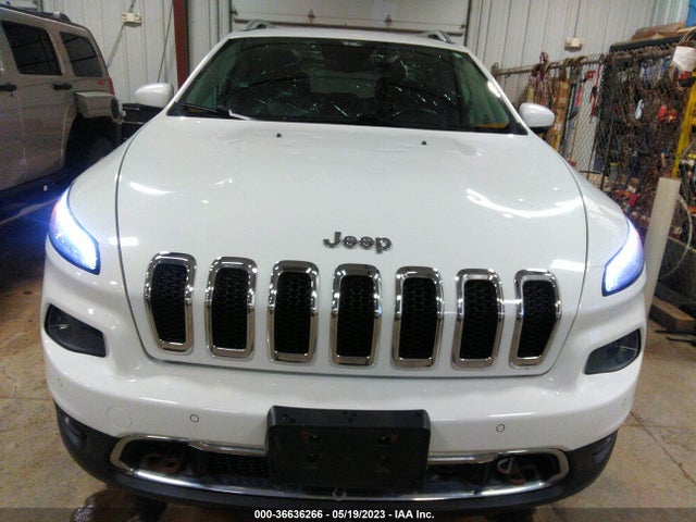 2014 JEEP CHEROKEE LIMITED VIN: 1C4PJMDS9EW259668