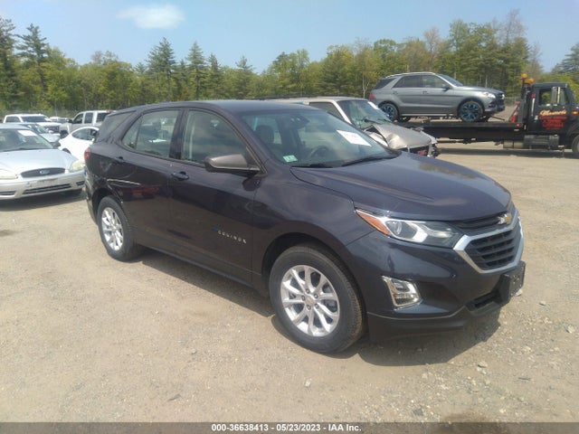 Chevrolet EQUINOX LS 2019 3GNAXHEV4KL254598 Image 1
