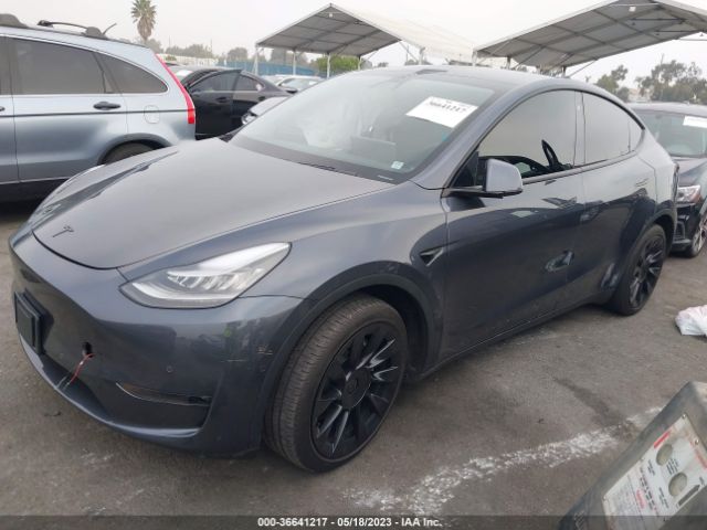 5YJYGDEE6LF059554 Tesla Model Y Long Range
