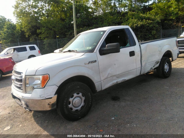 2013 FORD F-150 XL/XLT VIN: 1FTNF1CF0DKE07031