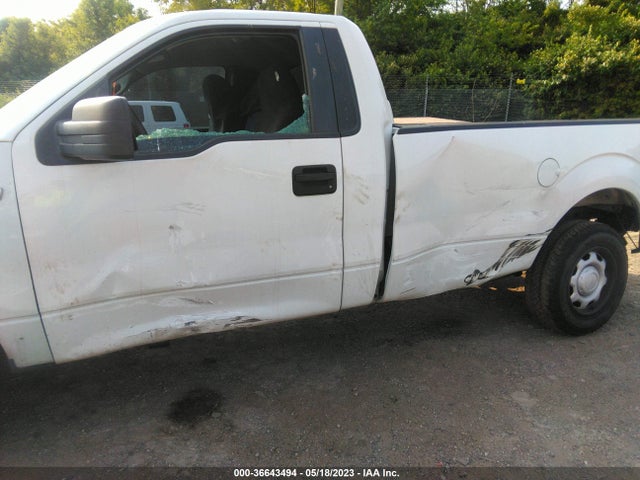 2013 FORD F-150 XL/XLT VIN: 1FTNF1CF0DKE07031