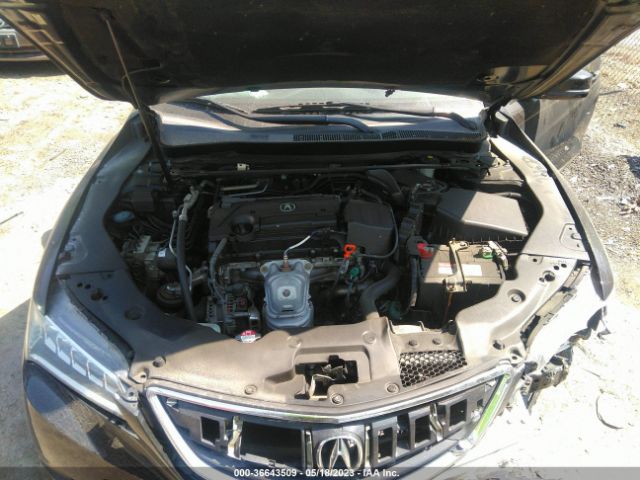 19UUB1F33FA029449 Acura TLX