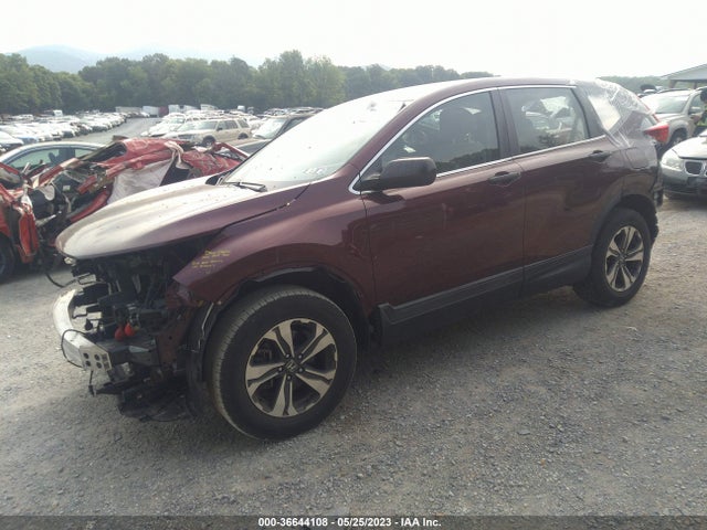 Honda CR-V LX 2017 2HKRW6H34HH221087 Image 2