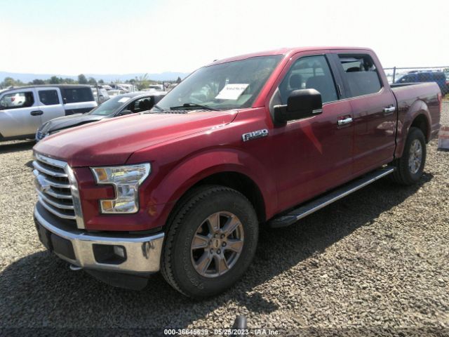1FTEW1EF7FKD98070 Ford F-150 Xlt/xl/lariat/platinum