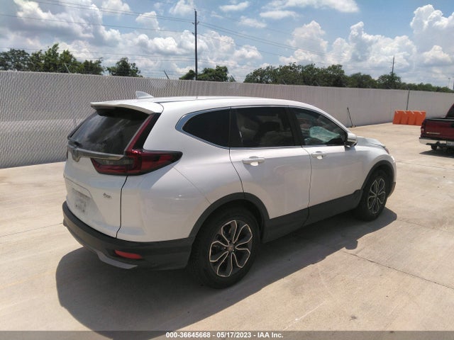 Honda CR-V EX 2020 7FARW1H52LE019302 Image 4