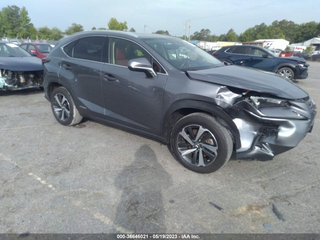 2020 Lexus NX, VIN: JTJGJRDZ4L5007840