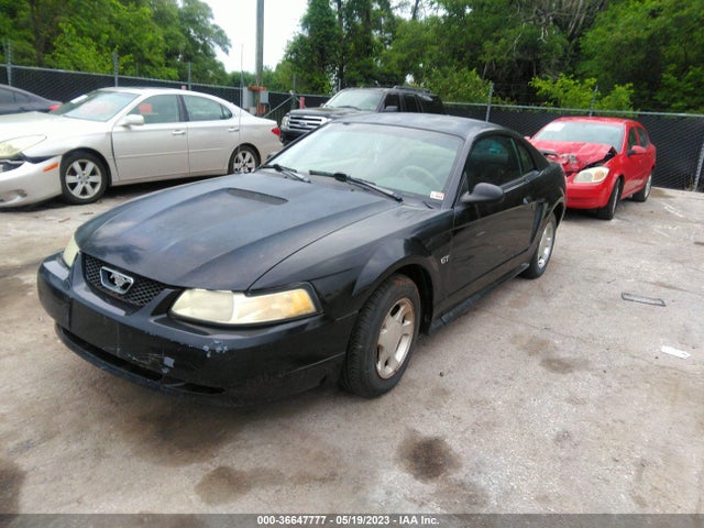 2000 FORD MUSTANG VIN: 1FAFP4046YF249207
