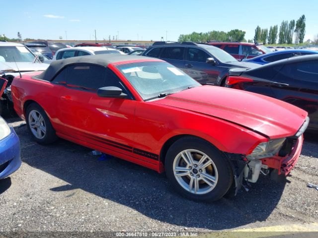 1ZVBP8EM0E5320232 Ford Mustang V6