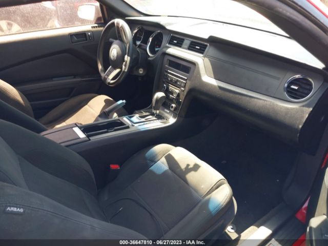 1ZVBP8EM0E5320232 Ford Mustang V6