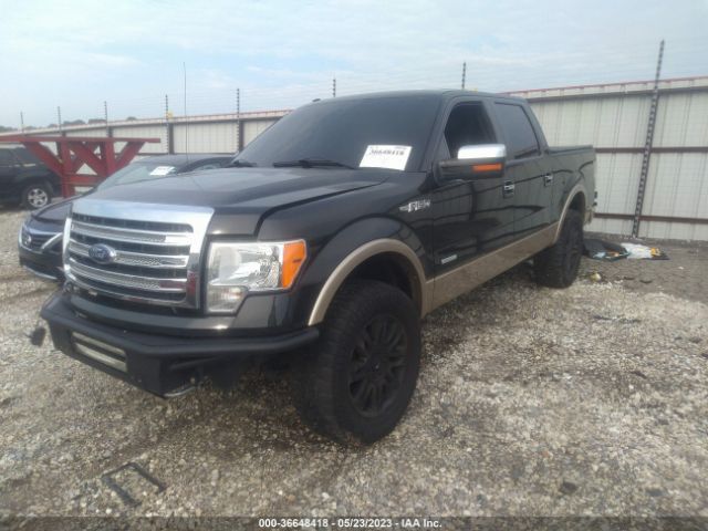1FTFW1ET3EFB82377 Ford F-150 Xl/xlt/fx4/lariat