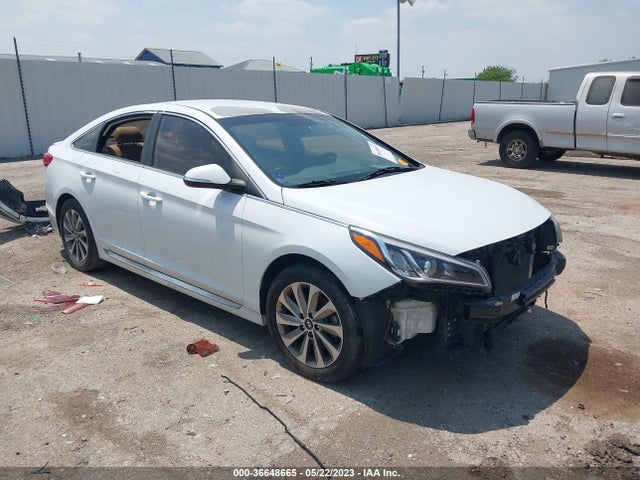 Hyundai Sonata Sport 2015 5NPE34AF4FH099585 Image 12