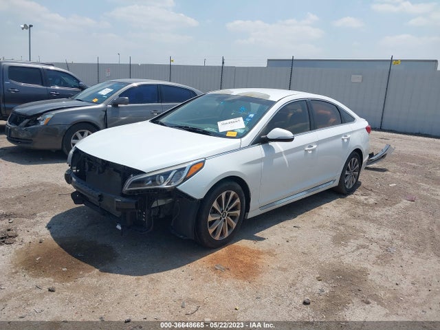 Hyundai Sonata Sport 2015 5NPE34AF4FH099585 Image 13