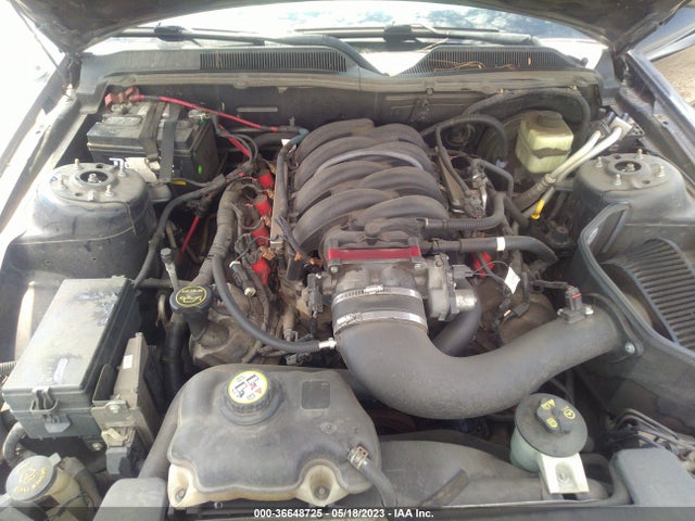 2007 FORD MUSTANG GT VIN: 1ZVHT85H075197804