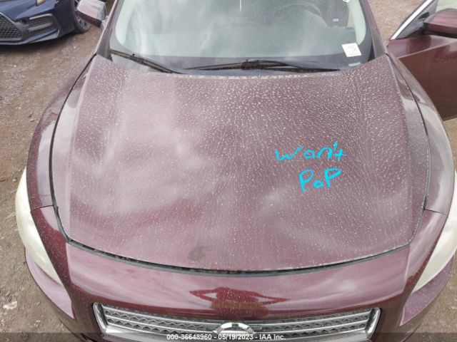1N4AA5AP2EC445698 Nissan Maxima 3.5 S