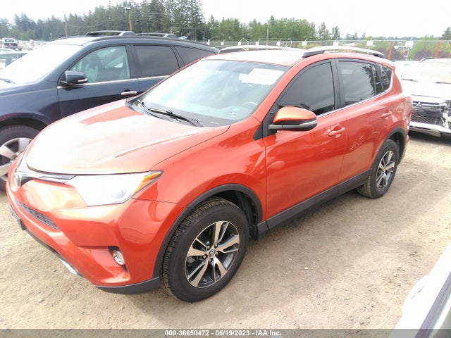 Toyota Rav4 Xle 2016 2T3RFREV6GW439420 Image 2