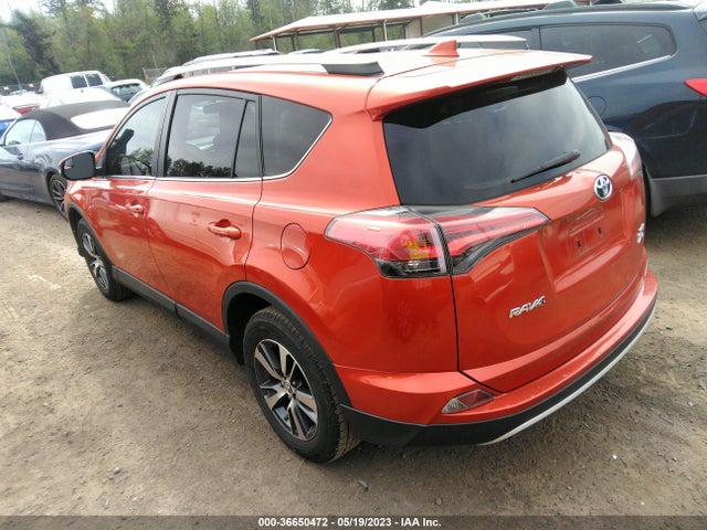 Toyota Rav4 Xle 2016 2T3RFREV6GW439420 Image 3