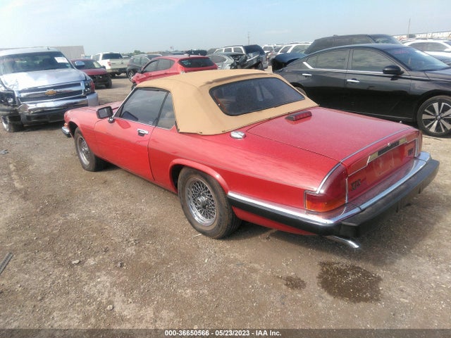1989 JAGUAR XJS VIN: SAJNV4849KC164744