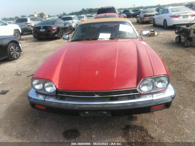 1989 JAGUAR XJS VIN: SAJNV4849KC164744