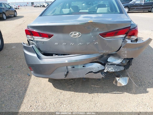 Hyundai SONATA SEL 2019 5NPE34AF9KH791965 Image 7