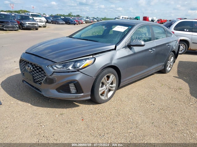 Hyundai SONATA SEL 2019 5NPE34AF9KH791965 Image 2