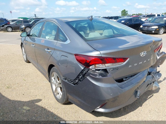 Hyundai SONATA SEL 2019 5NPE34AF9KH791965 Image 8