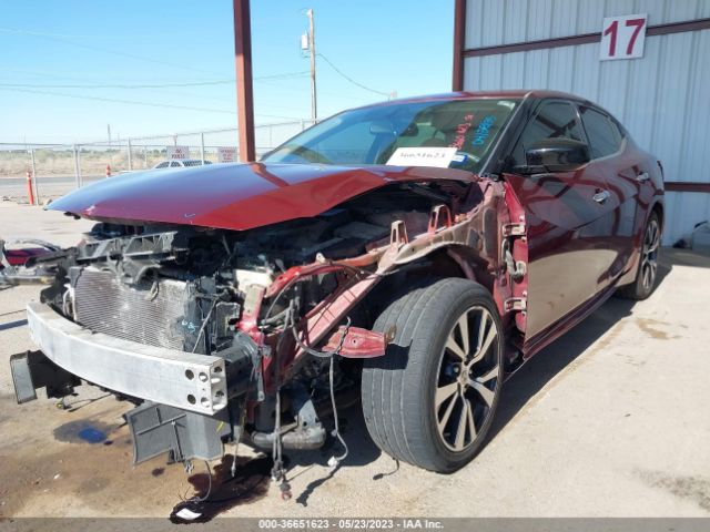1N4AA6AP4GC428149 Nissan Maxima 3.5 S