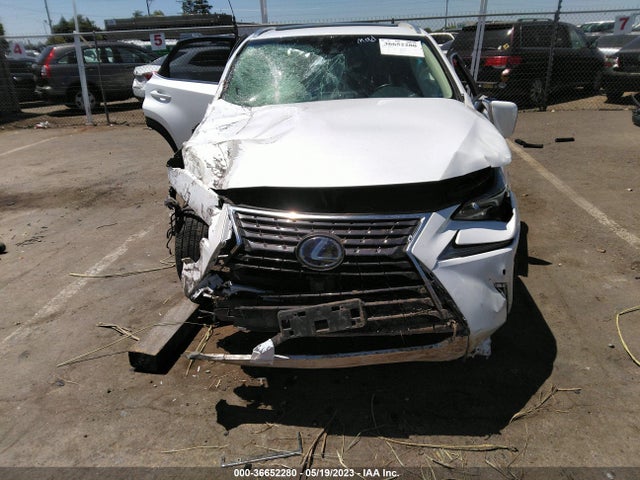 Lexus NX 2019 JTJBJRBZ1K2102692 Image 7