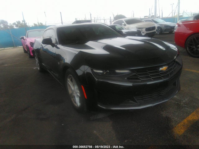 2019 1G1FB1RS9K0118428 main image